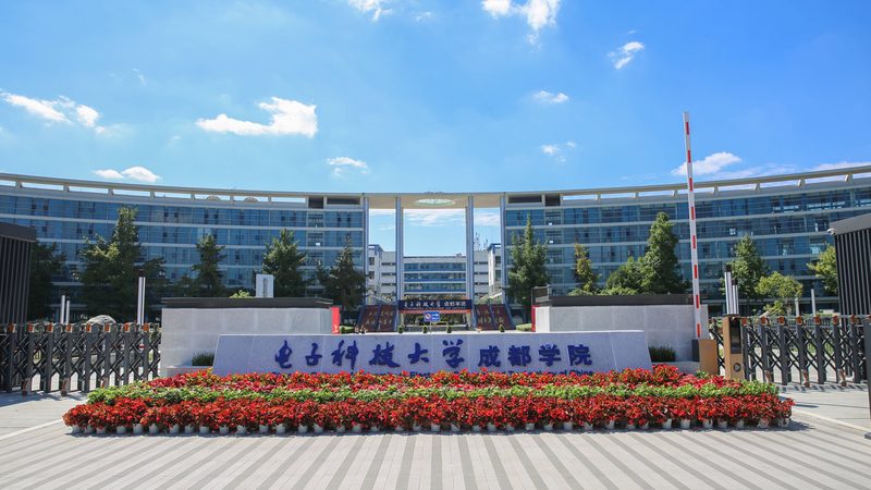 揭秘成都电子元件行业：十大品牌背后的技术实力与市场格局
